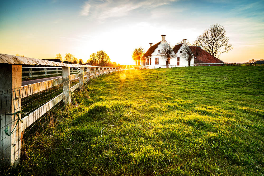 Why Rural Living Is the Ultimate Escape: Discover the Beauty of Rural Houses